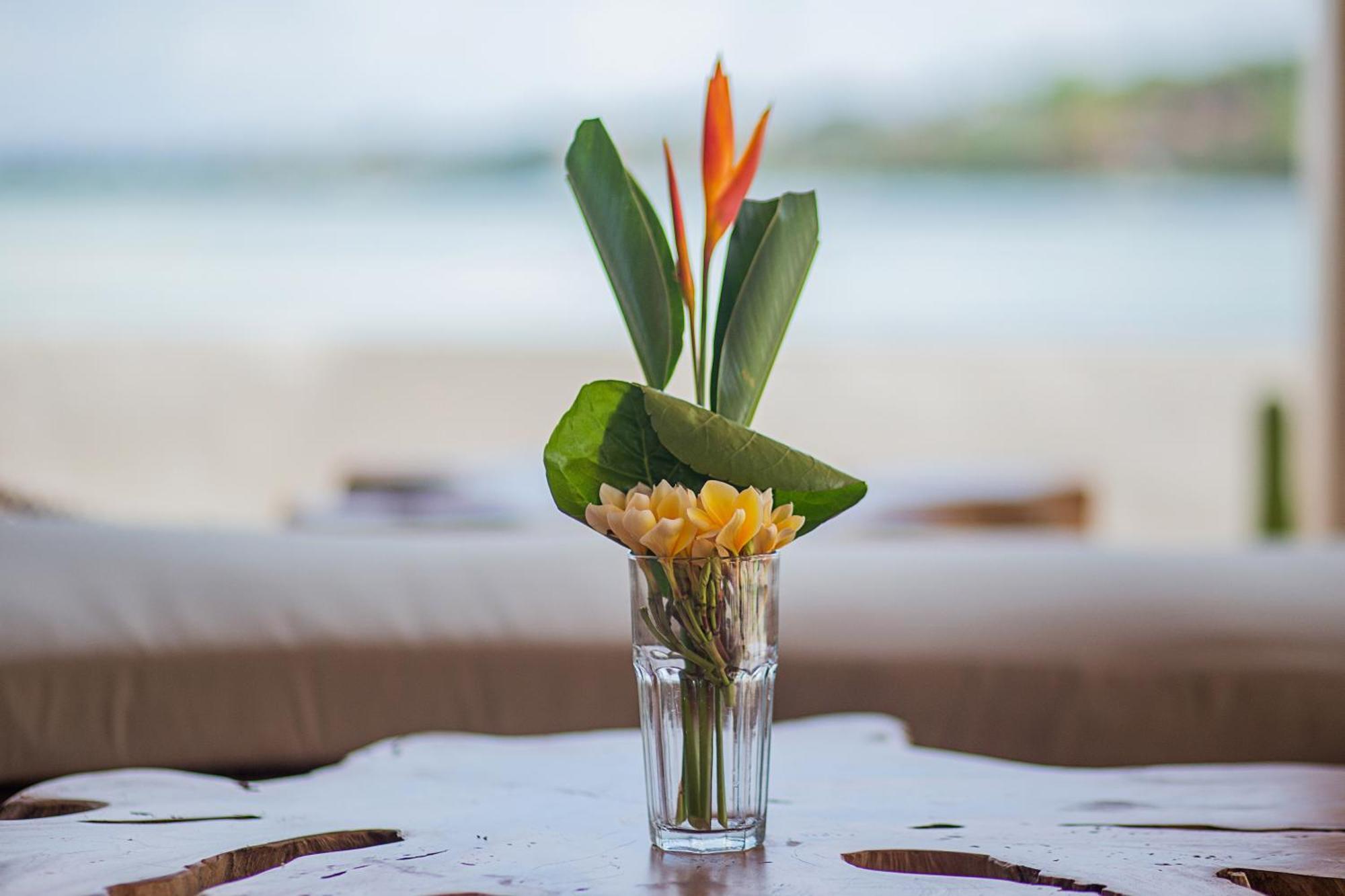Sunset House Ceningan, 10 Person Beachview Private Villa Lembongan Exteriör bild